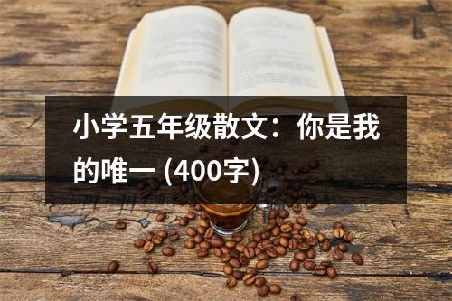 小學(xué)五年級(jí)散文：你是我的唯一 (400字)