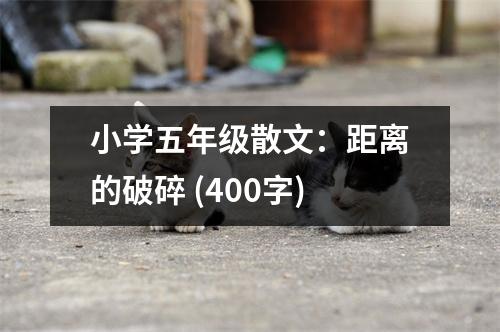 小學(xué)五年級(jí)散文：距離的破碎 (400字)