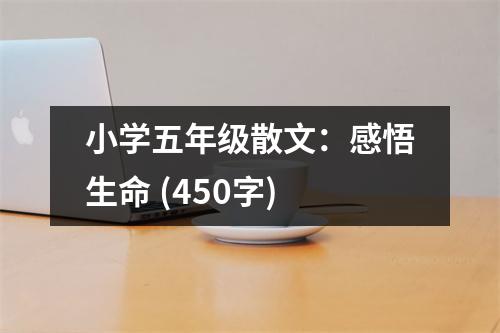 小學五年級散文：感悟生命 (450字)