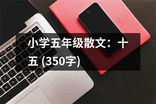 小學(xué)五年級(jí)散文：十五 (350字)
