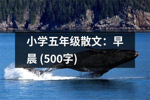 小學(xué)五年級(jí)散文：早晨 (500字)