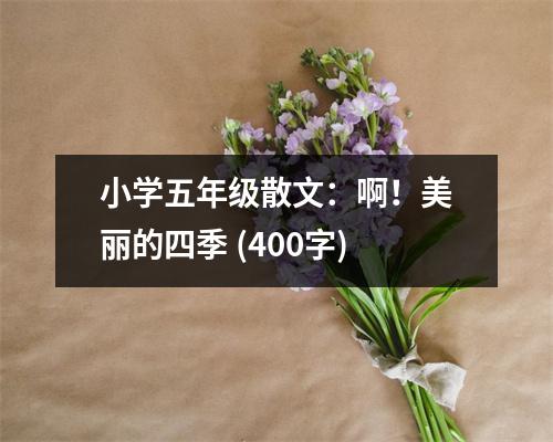小學(xué)五年級散文：??！美麗的四季 (400字)