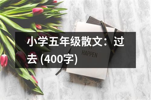 小學(xué)五年級(jí)散文：過去 (400字)