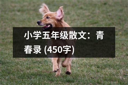 小學(xué)五年級(jí)散文：青春錄 (450字)