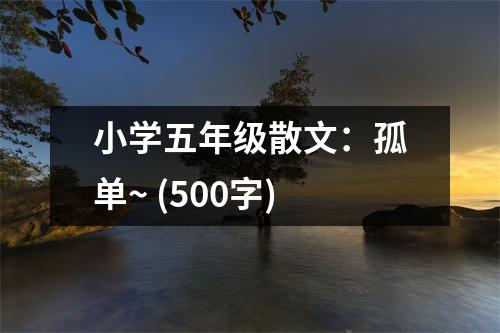 小學(xué)五年級(jí)散文：孤單~ (500字)