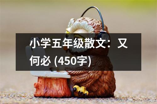 小學(xué)五年級(jí)散文：又何必 (450字)