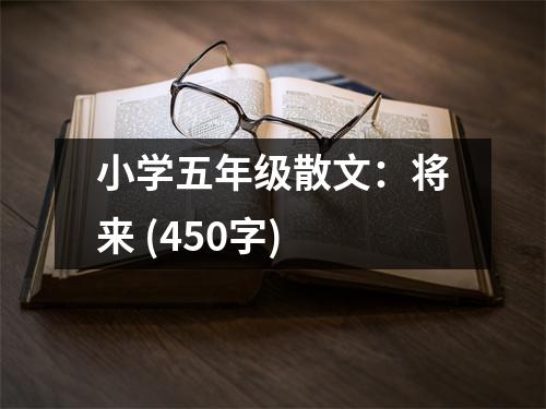 小學(xué)五年級散文：將來 (450字)