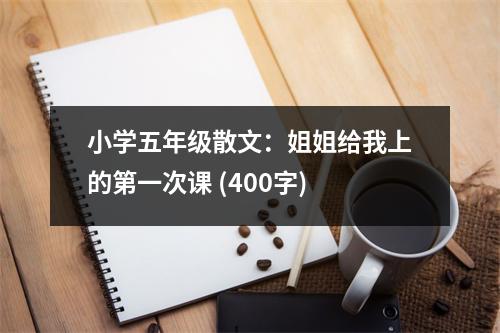 小學五年級散文：姐姐給我上的第一次課 (400字)