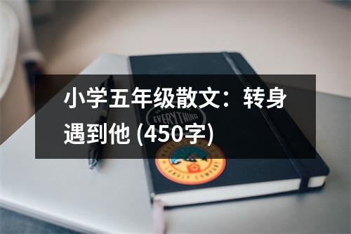 小學(xué)五年級(jí)散文：轉(zhuǎn)身遇到他 (450字)