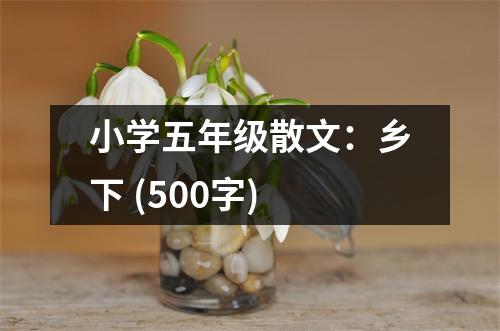 小學(xué)五年級散文：鄉(xiāng)下 (500字)