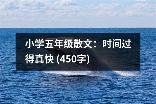 小學五年級散文：時間過得真快 (450字)