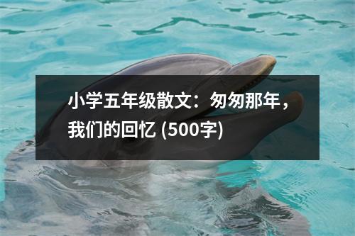 小學五年級散文：匆匆那年，我們的回憶 (500字)