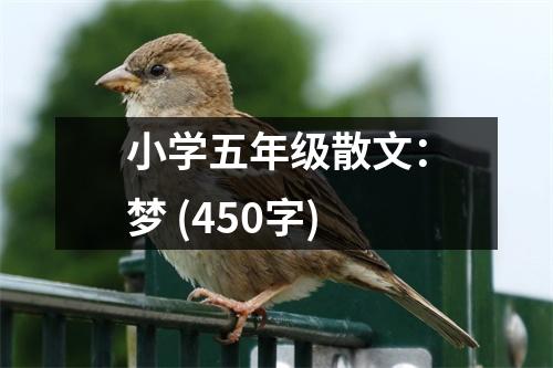小學五年級散文：夢 (450字)