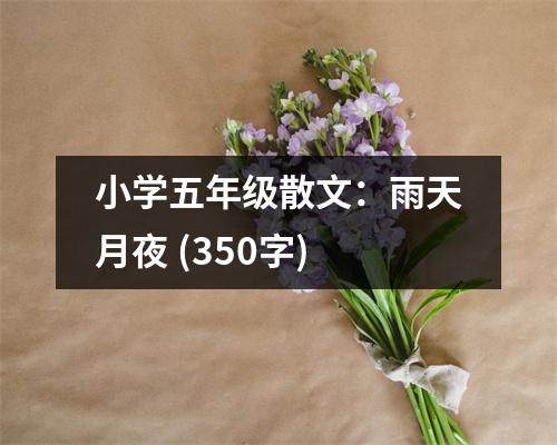 小學五年級散文：雨天月夜 (350字)