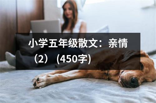 小學五年級散文：親情（2） (450字)