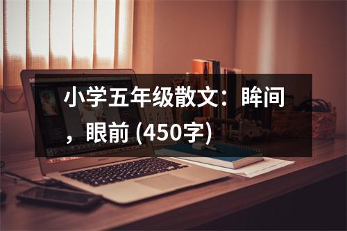 小學(xué)五年級散文：眸間，眼前 (450字)