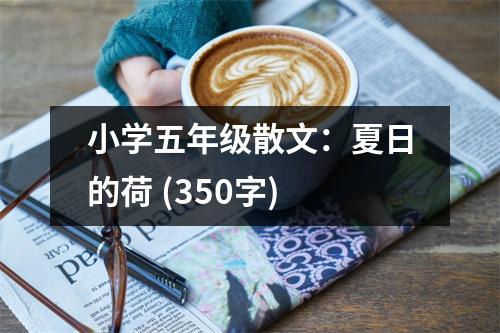 小學(xué)五年級(jí)散文：夏日的荷 (350字)
