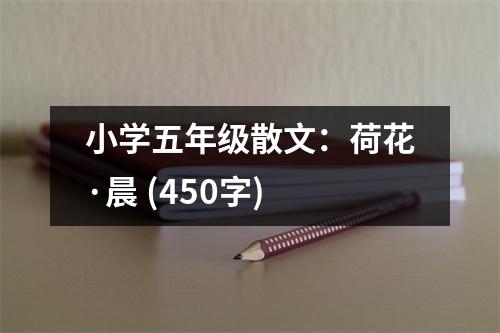 小學(xué)五年級(jí)散文：荷花·晨 (450字)