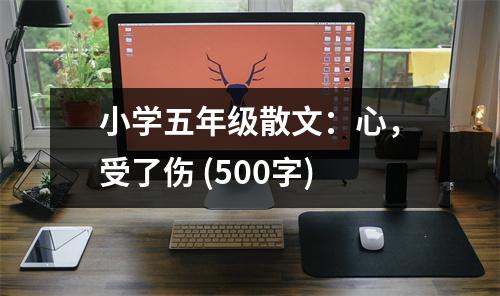 小學(xué)五年級(jí)散文：心，受了傷 (500字)