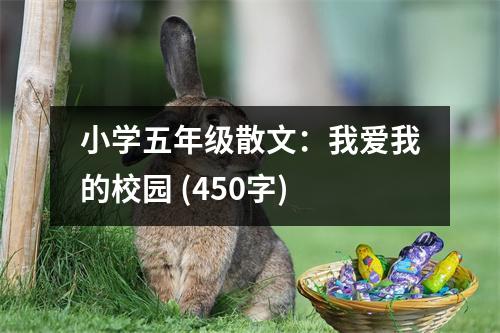 小學五年級散文：我愛我的校園 (450字)