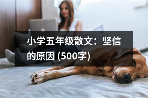 小學(xué)五年級(jí)散文：堅(jiān)信的原因 (500字)