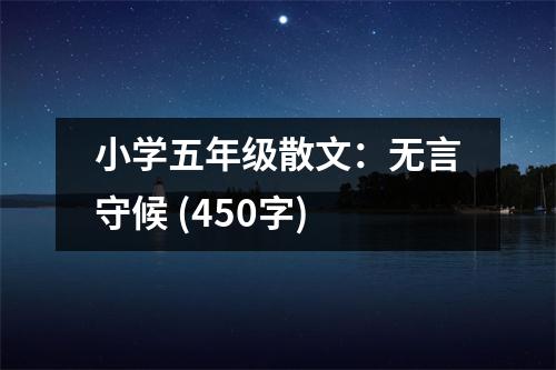 小學(xué)五年級(jí)散文：無言守候 (450字)