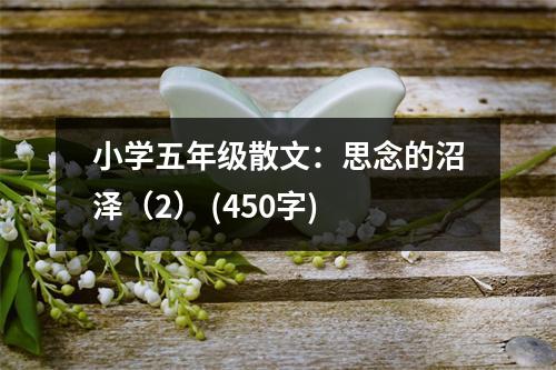 小學五年級散文：思念的沼澤（2） (450字)