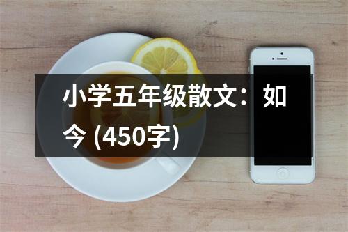 小學(xué)五年級散文：如今 (450字)