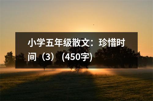 小學(xué)五年級(jí)散文：珍惜時(shí)間（3） (450字)