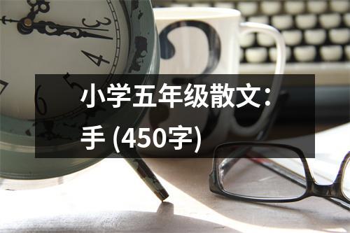 小學(xué)五年級散文：手 (450字)