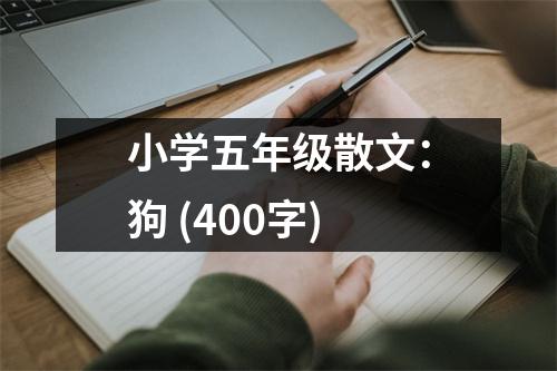 小學(xué)五年級(jí)散文：狗 (400字)