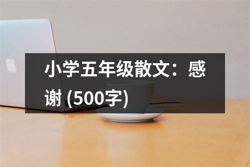 小學(xué)五年級(jí)散文：感謝 (500字)