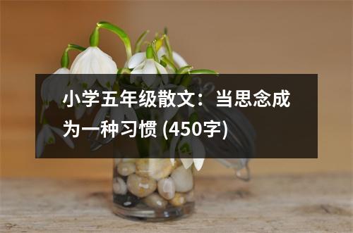 小學(xué)五年級(jí)散文：當(dāng)思念成為一種習(xí)慣 (450字)