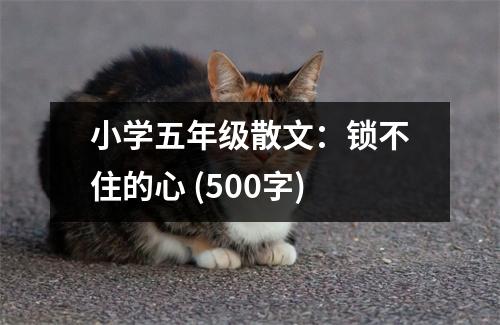 小學(xué)五年級(jí)散文：鎖不住的心 (500字)