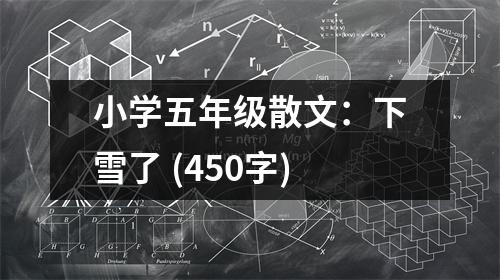 小學(xué)五年級散文：下雪了 (450字)