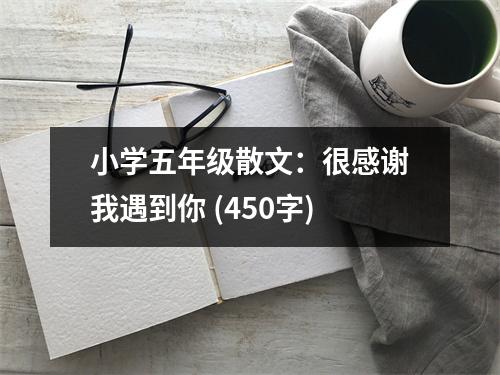 小學(xué)五年級散文：很感謝我遇到你 (450字)