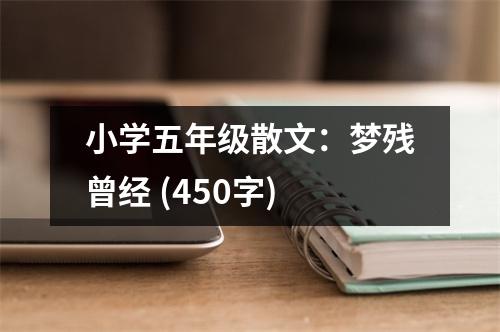 小學五年級散文：夢殘曾經(jīng) (450字)