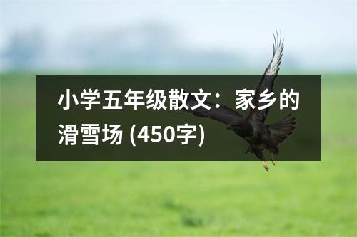 小學五年級散文：家鄉(xiāng)的滑雪場 (450字)