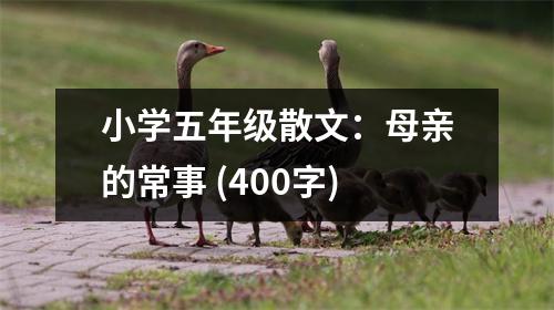 小學(xué)五年級(jí)散文：母親的常事 (400字)