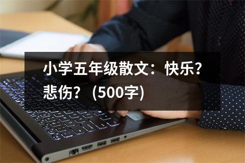 小學五年級散文：快樂？悲傷？ (500字)