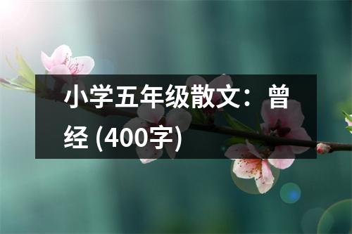 小學五年級散文：曾經 (400字)
