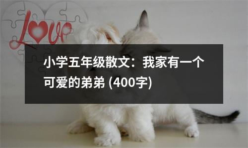 小學(xué)五年級(jí)散文：我家有一個(gè)可愛的弟弟 (400字)
