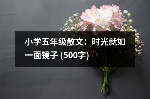 小學(xué)五年級(jí)散文：時(shí)光就如一面鏡子 (500字)