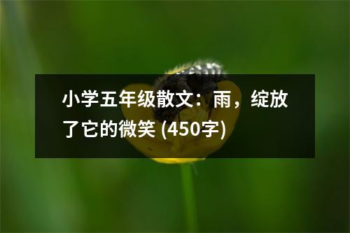 小學(xué)五年級(jí)散文：雨，綻放了它的微笑 (450字)