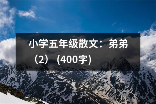 小學(xué)五年級散文：弟弟（2） (400字)