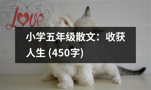小學五年級散文：收獲人生 (450字)
