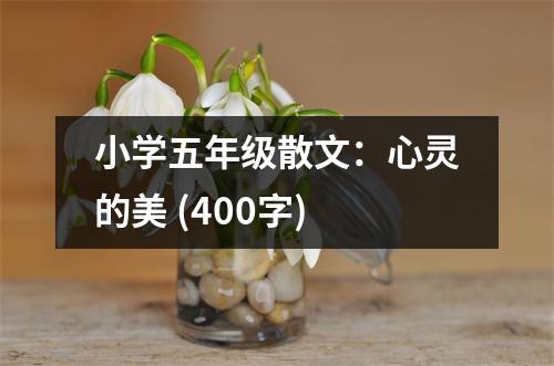 小學(xué)五年級散文：心靈的美 (400字)