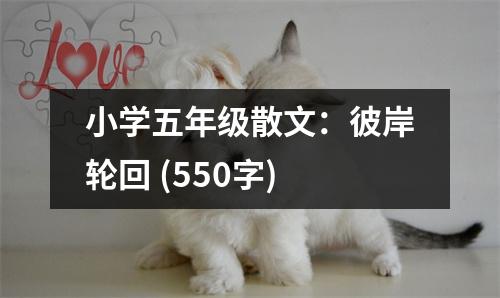 小學(xué)五年級(jí)散文：彼岸輪回 (550字)