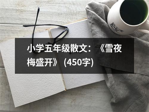 小學(xué)五年級(jí)散文：《雪夜梅盛開(kāi)》 (450字)