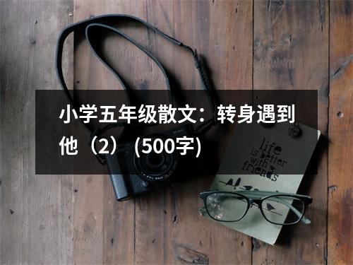 小學(xué)五年級(jí)散文：轉(zhuǎn)身遇到他（2） (500字)